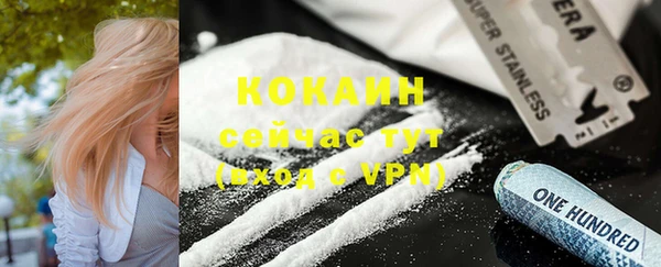 соль ск Абаза