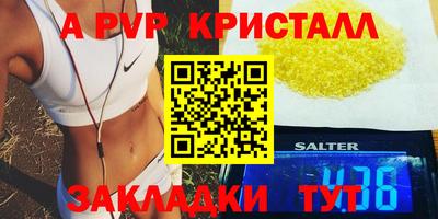 индика Обнинск