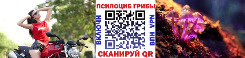 закладка  Ярославль  Галлюциногенные грибы MAGIC MUSHROOMS 