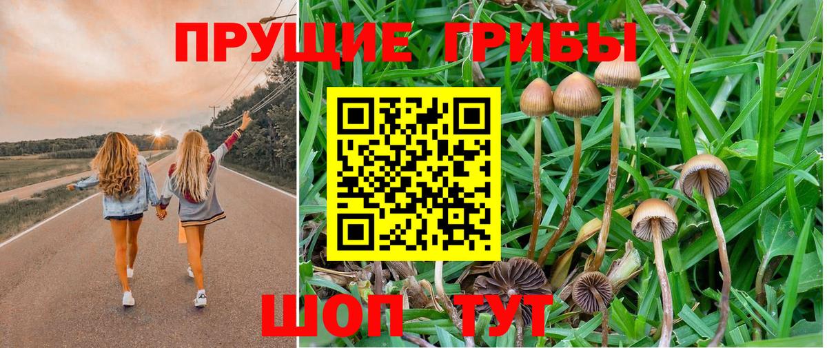 Ярославль  закладки  Вход с VPN  Псилоцибиновые грибы MAGIC MUSHROOMS 